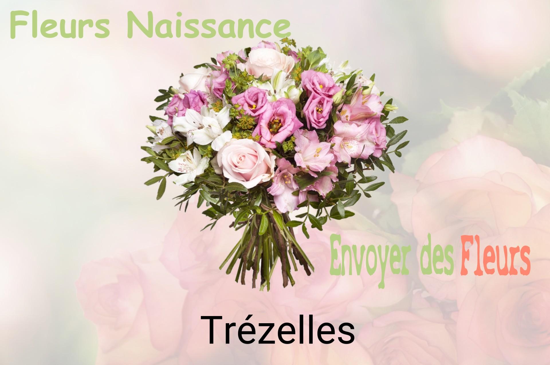 Bouquet de fleurs de naissance livré à Trézelles
